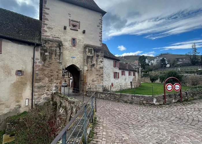 Cocon Du Vignoble * Turckheim